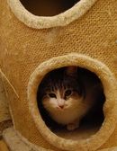 Vilém od kolejí.jpg